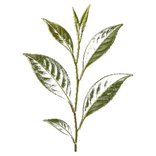 L-teaninas